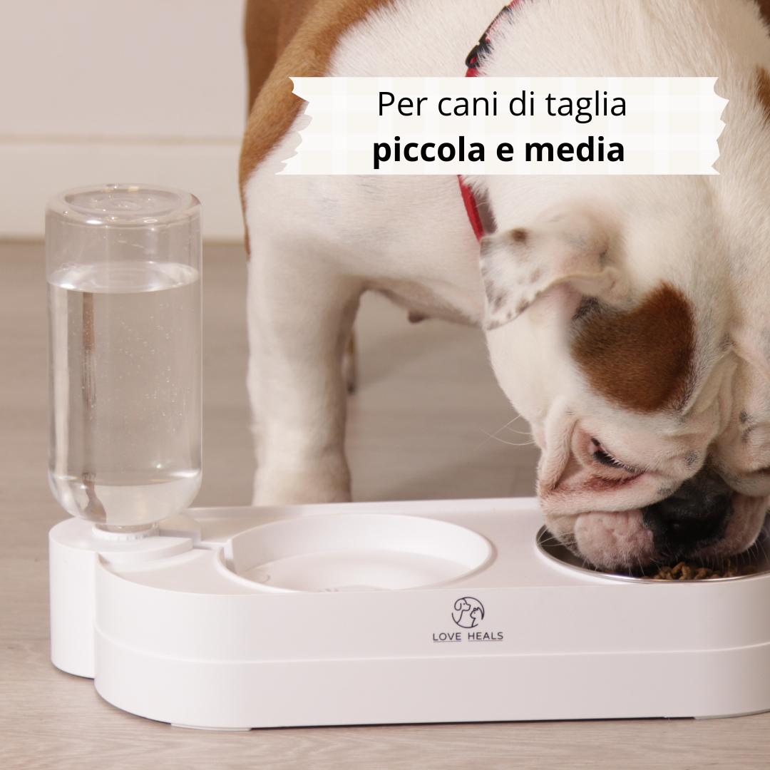 Dispenser di acqua e cibo - Sanalife